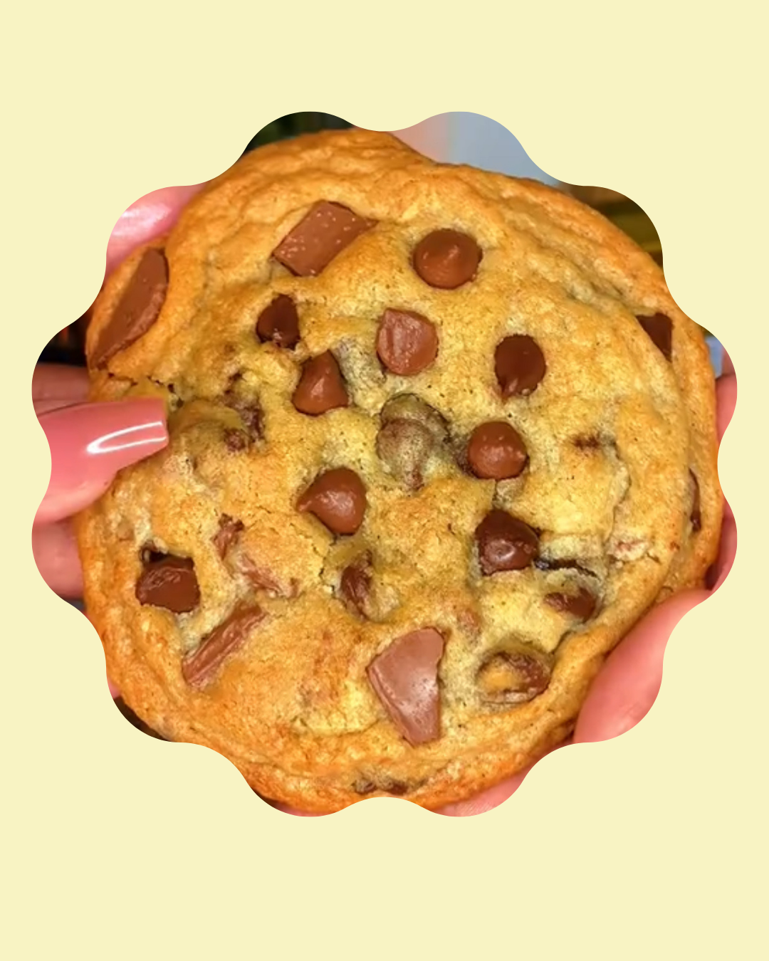 Chocolate Chip Cookie